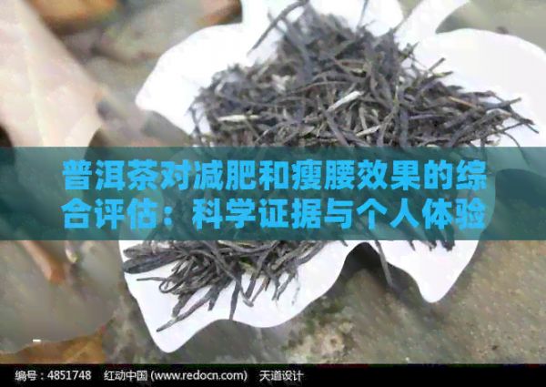 普洱茶對減肥和瘦腰效果的綜合評估：科學(xué)證據(jù)與個人體驗分享