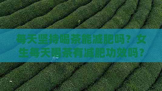 每天坚持喝茶能减肥吗？女生每天喝茶有减肥功效吗？会瘦吗？