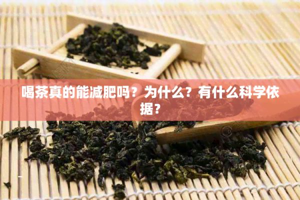 喝茶真的能減肥嗎？為什么？有什么科學(xué)依據(jù)？
