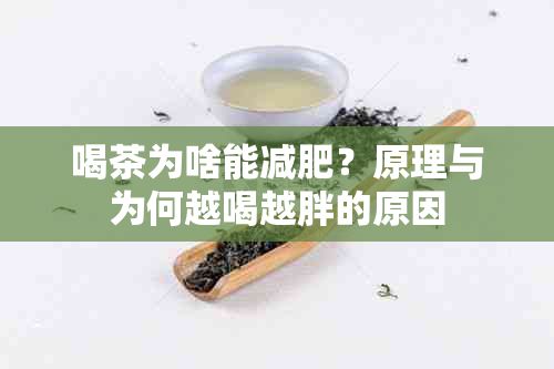 喝茶為啥能減肥？原理與為何越喝越胖的原因