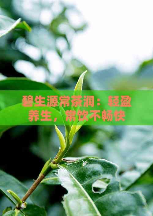 碧生源常茶潤(rùn)：輕盈養(yǎng)生，常飲不暢快