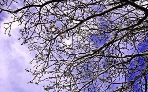 生活早安心語(yǔ)語(yǔ)錄47句