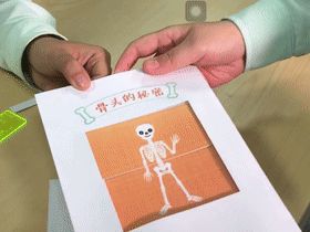 骨頭的秘密,骨骼秘密