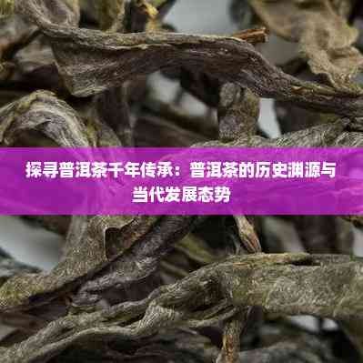 探尋普洱茶千年傳承：普洱茶的歷史淵源與當(dāng)代發(fā)展態(tài)勢