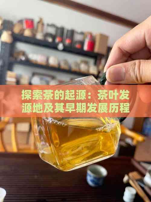 探索茶的起源:茶叶发源地及其早期发展历程