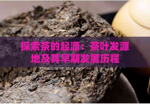 探索茶的起源:茶叶发源地及其早期发展历程