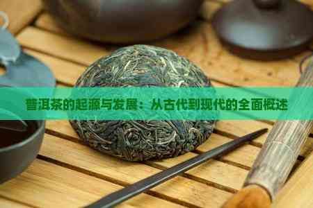 普洱茶的起源與發(fā)展：從古代到現(xiàn)代的全面概述