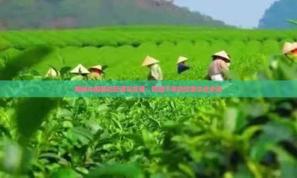 揭秘中國(guó)茶的起源與發(fā)展：跨越千年的飲茶文化史話(huà)
