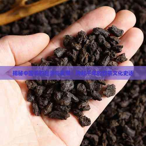 揭秘中國(guó)茶的起源與發(fā)展：跨越千年的飲茶文化史話(huà)