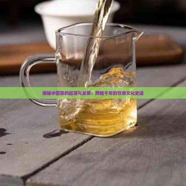 揭秘中國(guó)茶的起源與發(fā)展：跨越千年的飲茶文化史話(huà)