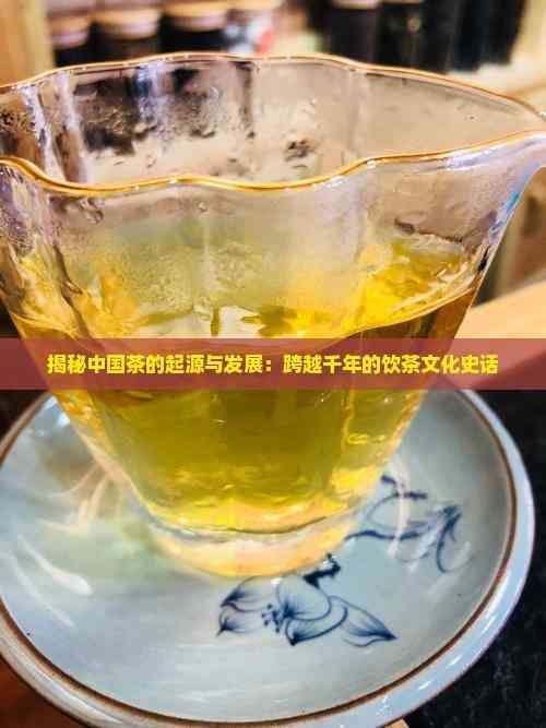 揭秘中國(guó)茶的起源與發(fā)展：跨越千年的飲茶文化史話(huà)