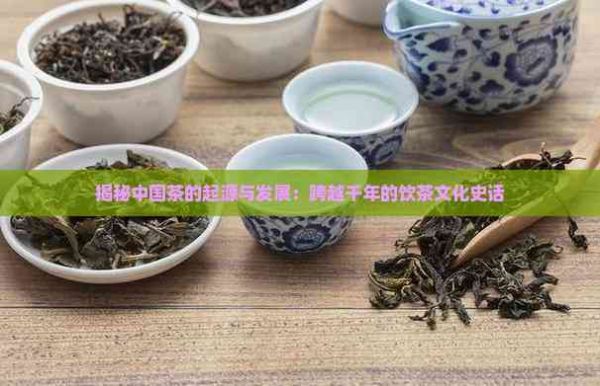 揭秘中國(guó)茶的起源與發(fā)展：跨越千年的飲茶文化史話(huà)