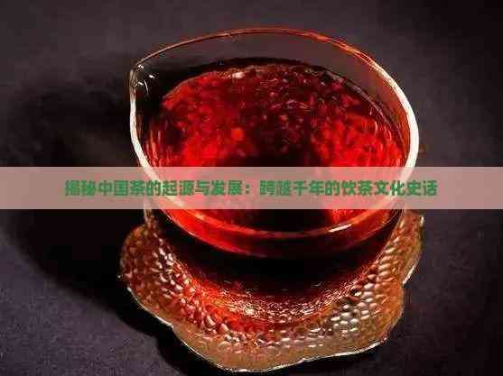 揭秘中國(guó)茶的起源與發(fā)展：跨越千年的飲茶文化史話(huà)