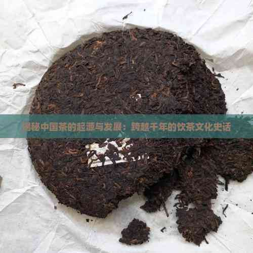 揭秘中國(guó)茶的起源與發(fā)展：跨越千年的飲茶文化史話(huà)