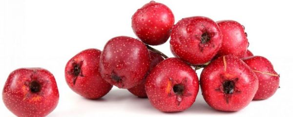 油膩食物吃太多了怎么辦 吃什么可以消除油膩 吃的太油膩了很難受怎么辦