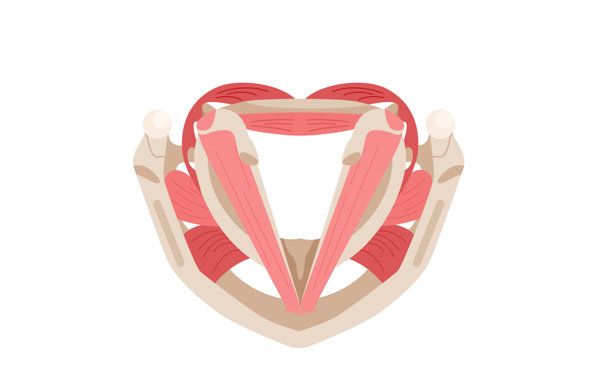 怎樣順產(chǎn)不會(huì)尿失禁