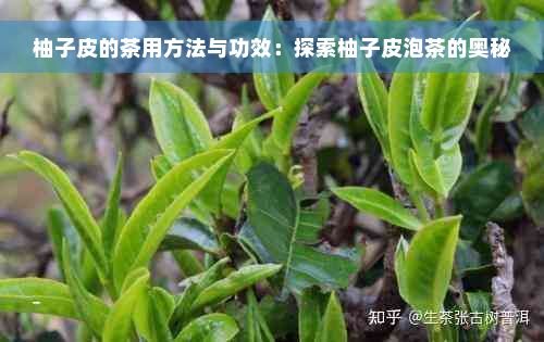 柚子皮的茶用方法與功效：探索柚子皮泡茶的奧秘
