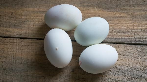 蛋白質和脂肪誰先消耗完