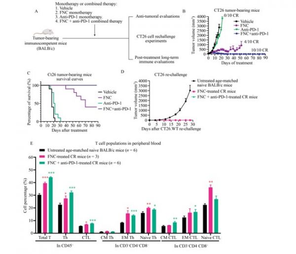 肿瘤免疫治疗迎来重大突破，阿兹夫定联合PD-1疗效再获验证