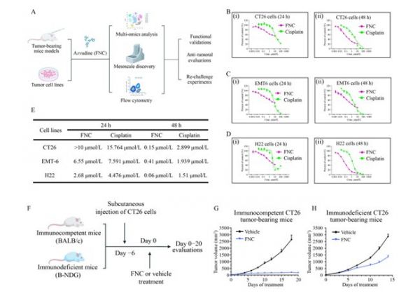 肿瘤免疫治疗迎来重大突破，阿兹夫定联合PD-1疗效再获验证