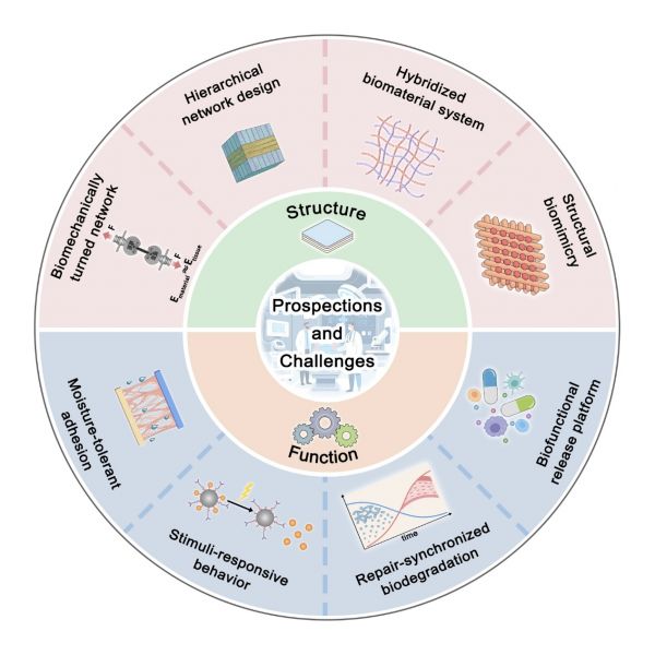 圖3 眼部粘合性生物活性材料的機(jī)遇與挑戰(zhàn)