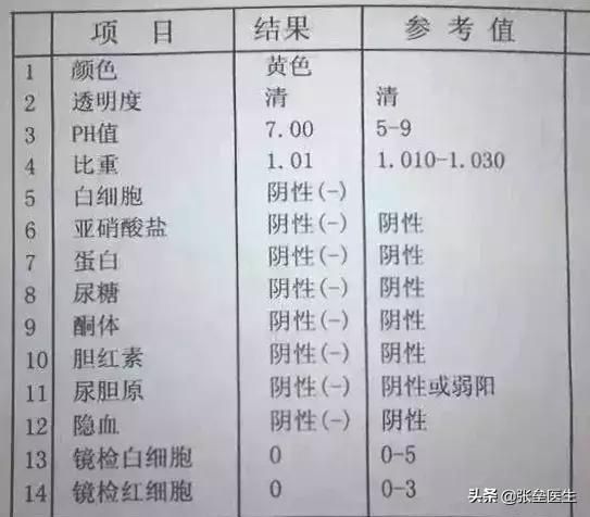 深度辟谣：尿常规正常就说明肾脏没问题？肾内科医生一文讲清楚