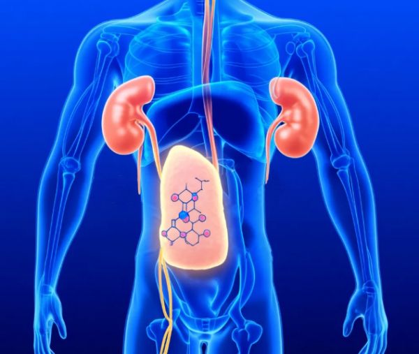 南通大学附属医院、市第一人民医院开设医学营养门诊，可定制个性化饮食方案。