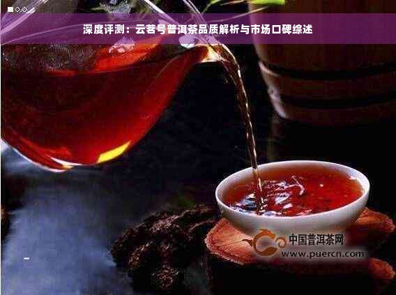 深度评测：云茗号普洱茶品质解析与市场口碑综述