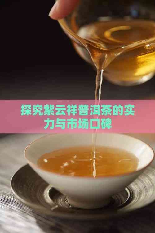 探究紫云祥普洱茶的实力与市场口碑
