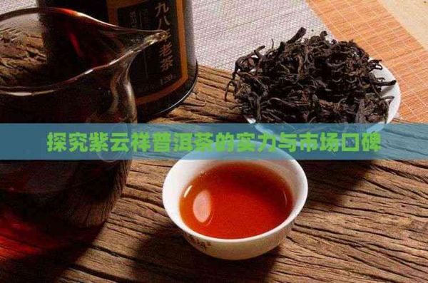探究紫云祥普洱茶的实力与市场口碑