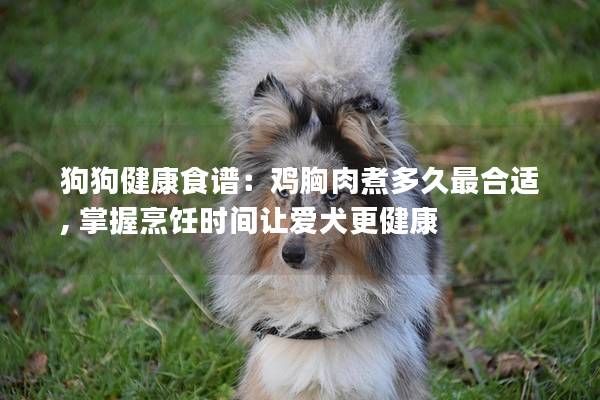 狗狗健康食谱：鸡胸肉煮多久最合适, 掌握烹饪时间让爱犬更健康