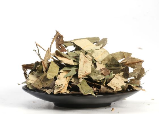 服用荷葉到底能不能緩解便秘