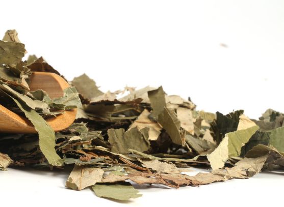 服用荷葉到底能不能緩解便秘