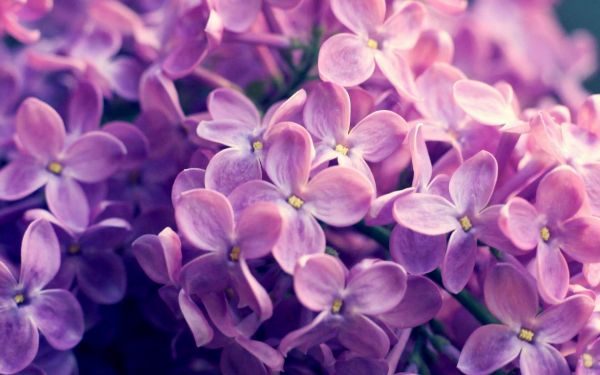 产后缩阴哪种方法好 你知道吗