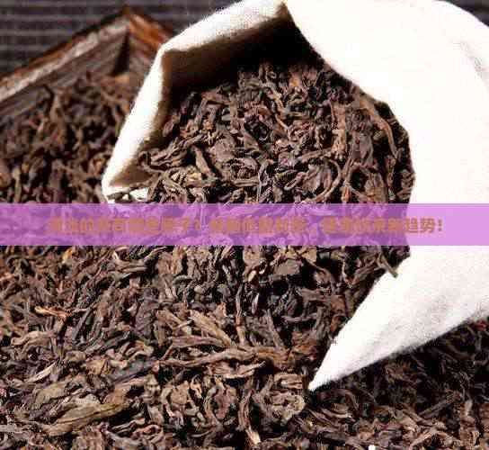 清淡的茶有哪些牌子