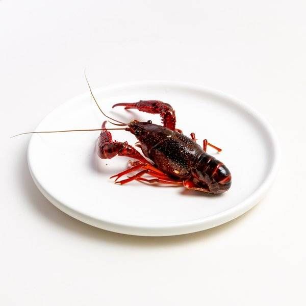 小龍蝦配飲場景圖