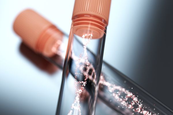 河南驗(yàn)dna親子鑒定多少錢一次