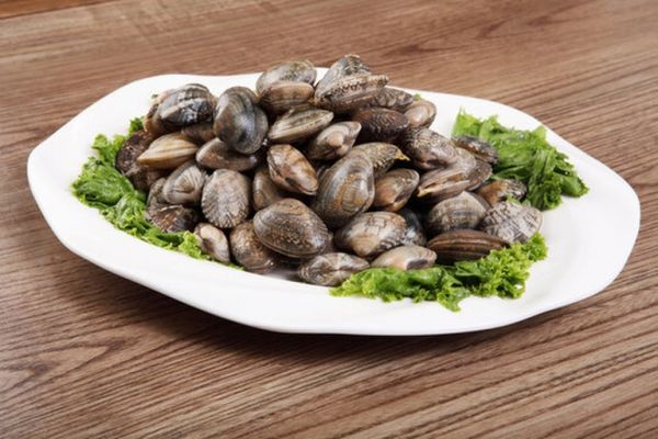 餐桌上一份精致擺盤的清蒸生蠔配蘿卜泥蘸料