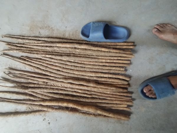 山药土豆选购对比图