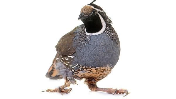 运动前后吃什么食物好