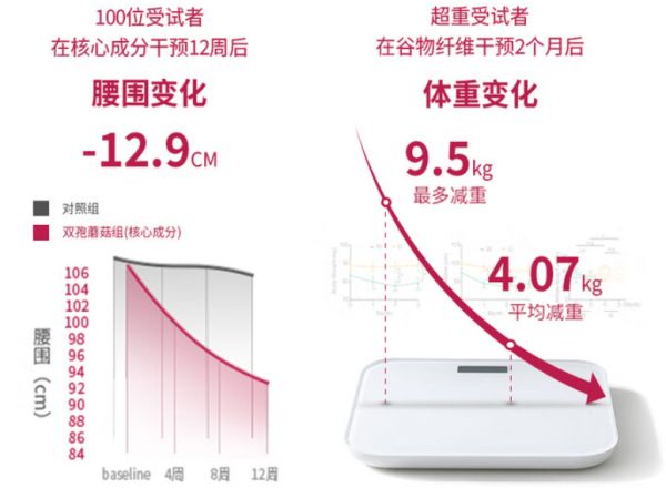 减肥产品哪个燃脂塑形最有效？腰纪线高效瘦身不反弹，2025燃脂实测指南