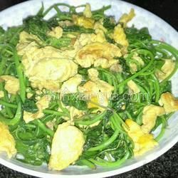 刺五加炒雞蛋的做法[圖]