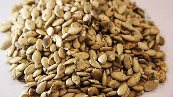 冬瓜籽可以吃嗎 冬瓜子毒性有多強(qiáng)