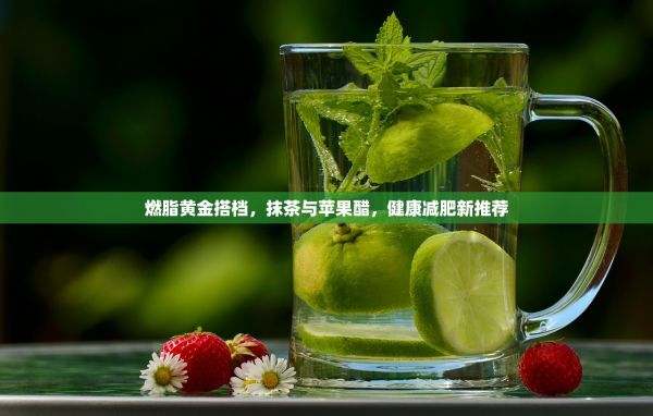 燃脂黄金搭档，抹茶与苹果醋，健康减肥新推荐