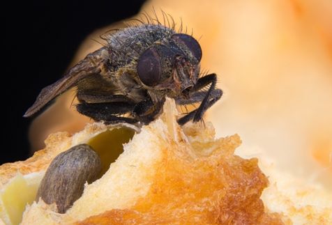 619b8493833419506dcd1de274ee5c6