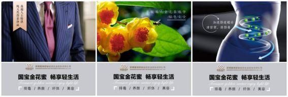 金花蜜宝丨清肠纤体，你身边天然的清道夫