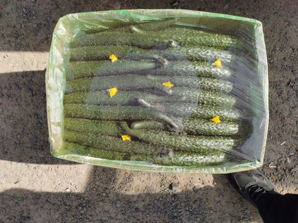 黄瓜香蕉榨汁成品图