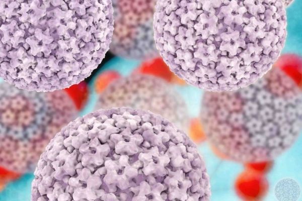 如何判断自己是否中了梅毒 一招判断梅毒小红点 梅毒初期小红点形状