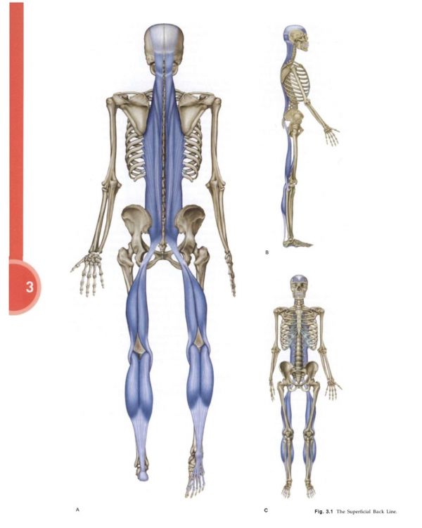 低成本抗衰，強烈推薦這個小技巧！在家就能做