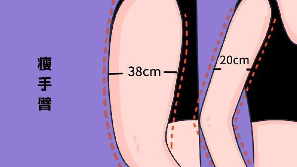蝶臂贴瘦手臂真的有效吗